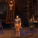 The other, currently-still-active Lord of the Rings MMO, Lord of the Rings Online.